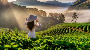 Ce trebuie să știi înainte de a rezerva vacanța de vară (P)