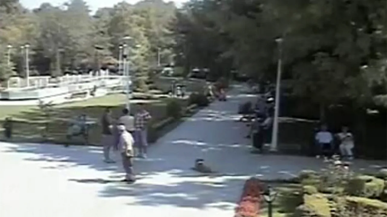 Cazul copilului ucis de câini - Bărbatul care l-a adus pe fratele lui Ionuţ la bunica acestuia, audiat: Când l-am dus în parc am aflat că mai este un copil