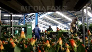 Povestea celor trei studenţi care din gunoi produc 