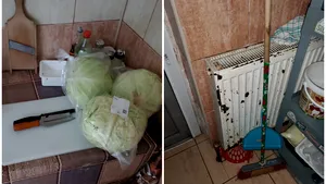 Produse expirate şi veselă murdară la un restaurant din Braşov. Activitatea localului, suspendată după ce mai mulţi oameni au ajuns la spital. FOTO