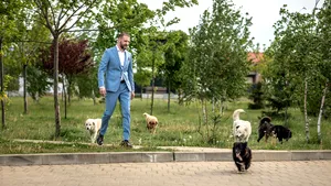 Câine aruncat la gunoi de viu. Ştefan Mandachi organizează un protest pentru oprirea abuzurilor asupra animalelor 