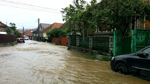 Ministrul Mediului: Impactul inundaţiilor în 2016 a fost de 61 de milioane de lei