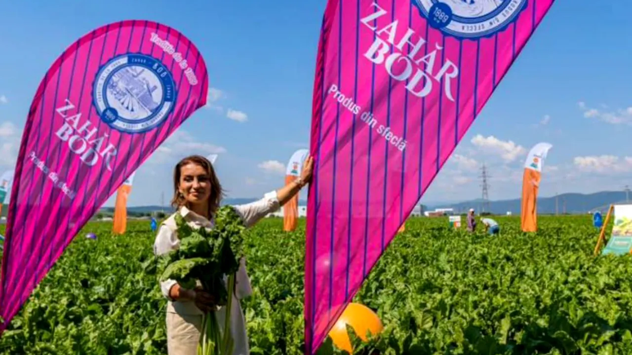 APEL CĂTRE FERMIERI: „În Ardeal, încă se munceşte!”, consideră Mihaela Neagu, acţionarul fabricilor de zahăr Bod şi Luduş