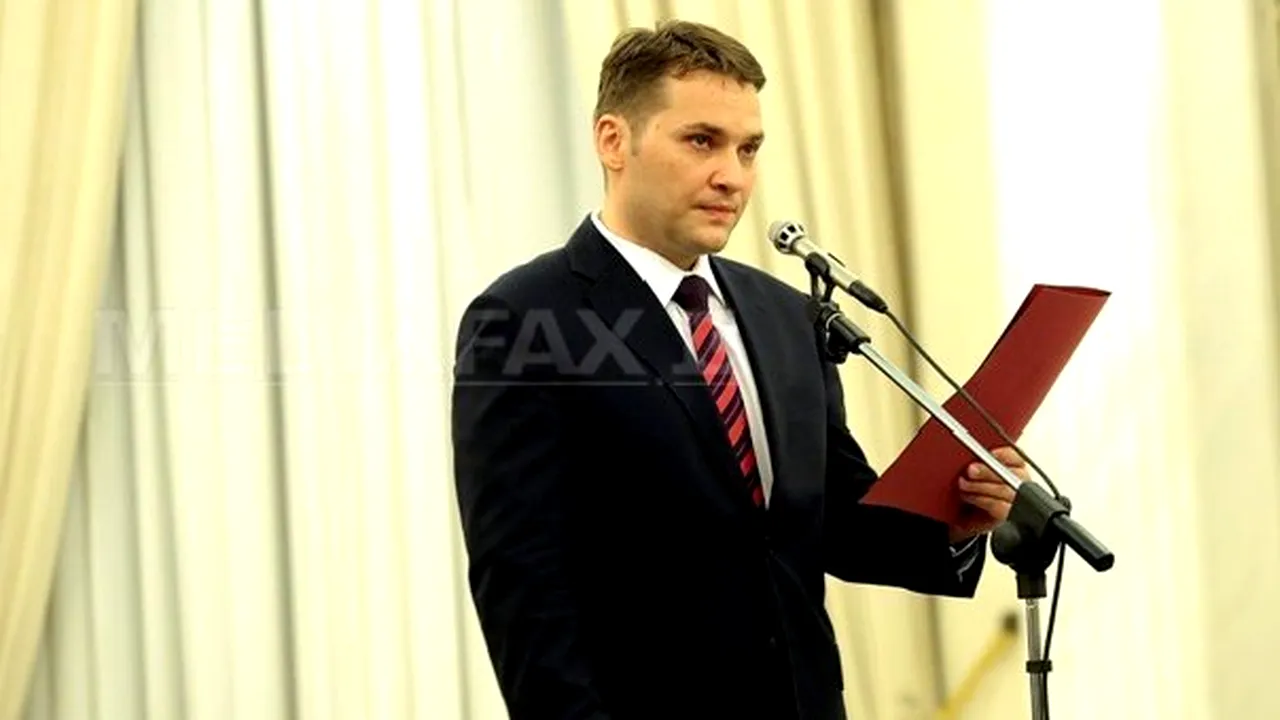 Şova: Antonescu nu a atacat Guvernul, colaborarea sa cu Executivul este excelentă