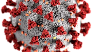 COMENTARIU Lelia Munteanu: Deosebirea dintre om şi covid