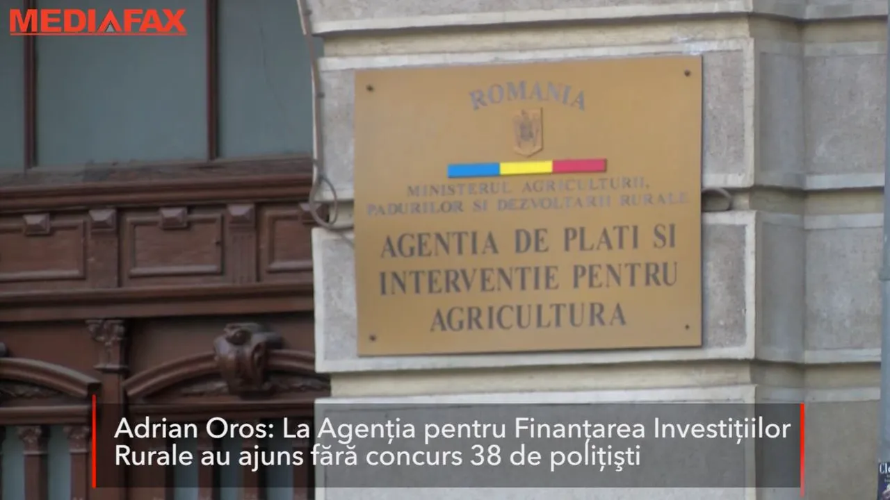 Social-democraţii, acuzaţi că au aranjat angajări fără concurs pentru coafeze şi poliţişti