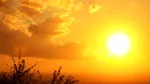 Record meteo: Iunie 2025, cea mai fierbinte din istorie în Europa de Vest