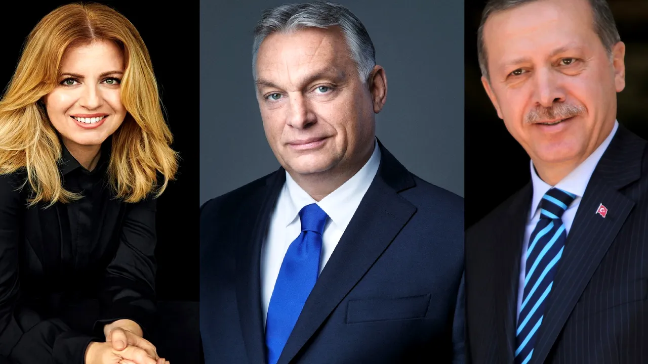 Un ambasador american lansează semnalul că Finlanda si Suedia vor adera la NATO până la Crăciun. Mai sunt trei state membre care trebuie să voteze ratificarea 