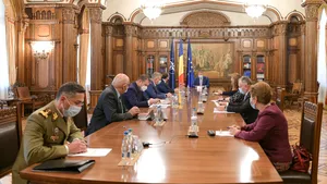 COMENTARIU Lelia Munteanu. Erzaţ!