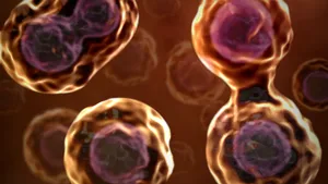 Cancerul cerebral, provocat de acţiunea în tandem a două gene - studiu