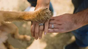 „Un labrador este un câine autist”. Explicațiile biologului Lluís Montoliu