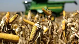 Fondurile UE alocate pentru dezvoltare rurală, dar neutilizate în acest an, pot fi cheltuite în anii următori