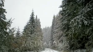 NINSORI în ţară: Circulaţie îngreunată în Harghita din cauza zăpezii. Blocaj rutier pe două drumuri naţionale din Covasna - FOTO