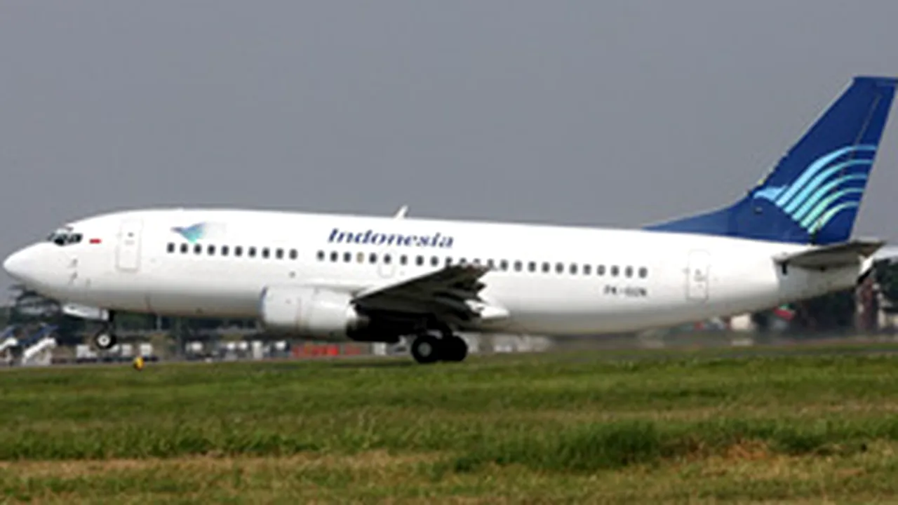 Un avion a lovit un viţel pe un aeroport din Indonezia