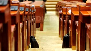 Bugetele Ministerului pentru Românii de Pretutindeni şi al Apelor, raport favorabil în Parlament