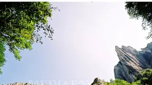 Proiect de 1,7 milioane de lei pentru protejarea florei şi faunei din Cheile Turzii şi Turenilor