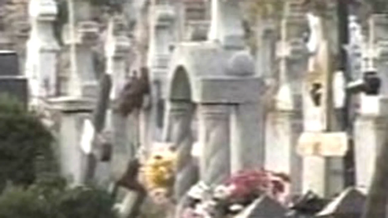 Trupul avocatei dispărute, căutat printr-un cimitir din Braşov