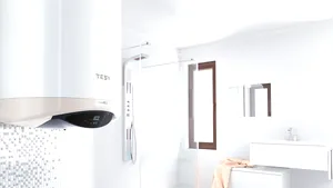 (P) In epoca inteligentei artificiale – contributia bulgara in grija pentru domiciliu