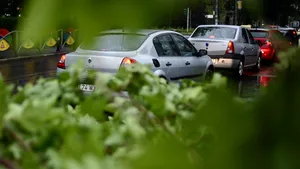 ISU: Un copac doborât de vânt a căzut peste un autoturism, în Sectorul 1 al Capitalei