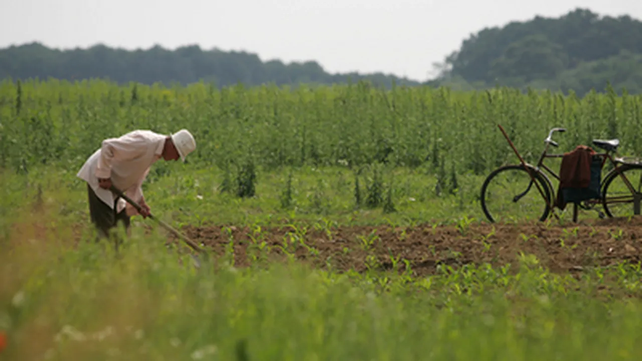 Romania Agric Min: Over 400,000 People Liable To Sanctions For Unfarmed Lands