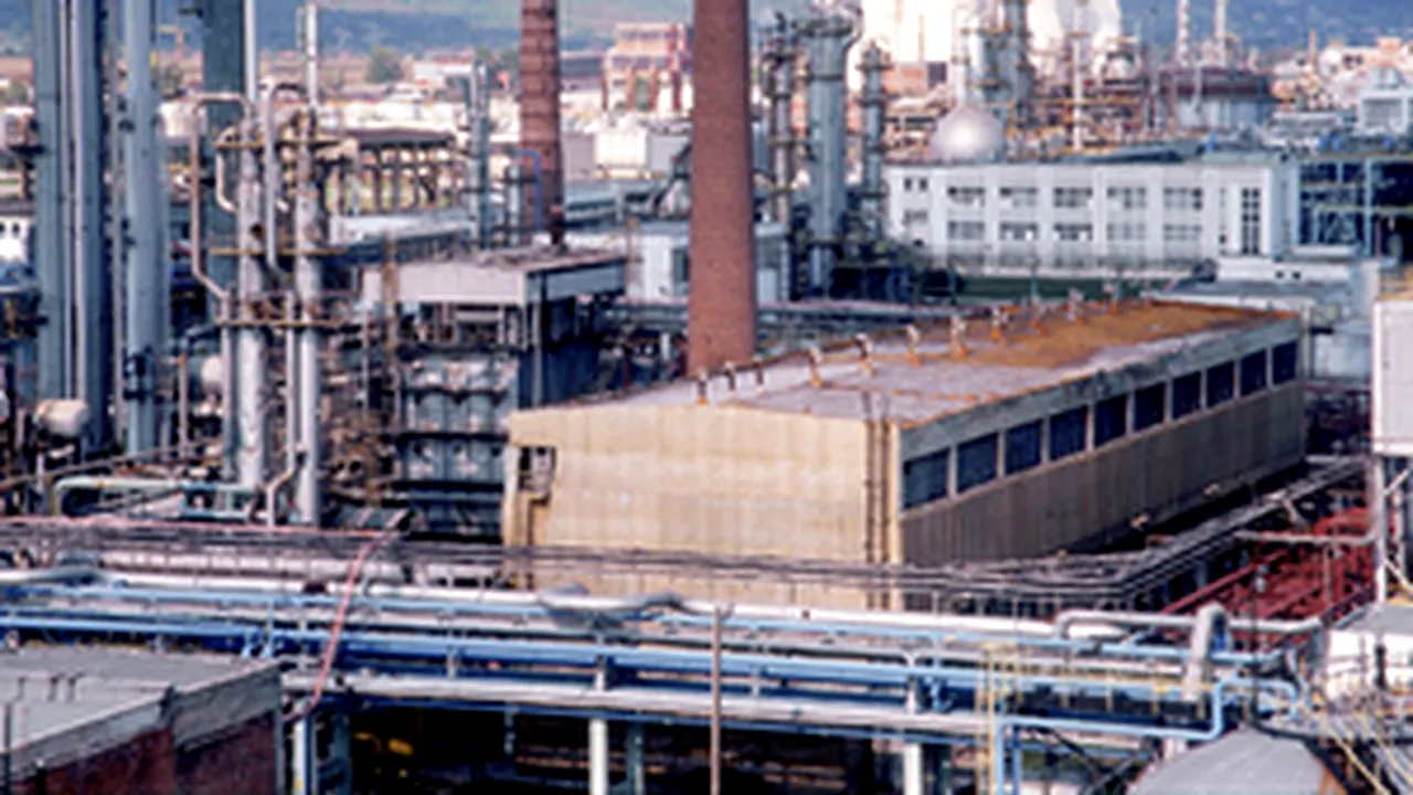 Romanian Oltchim May Get State Guarantee From Eximbank - Econ Min