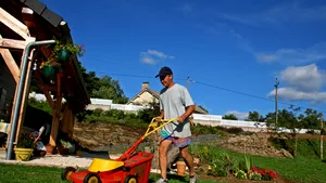 Grădinăritul, noua pasiune a românilor: Cât sunt dispuşi să cheltuiască pentru amenajarea grădinilor