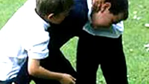 Violenţa tv creşte agresivitatea băieţilor