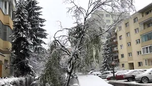 Patru maşini din Argeş au fost avariate de un acoperiş de bloc smuls de viscol