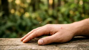 Avertisment: Țânțarii sunt activi și toamna. 83 de cazuri de West Nile în România și 5 decese