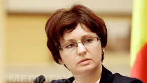 CONFERINŢA Mediafax-Coface - Companiile trebuie să deruleze proiecte de investiţii pentru a deveni profitabile şi bancabile