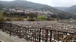 Tone de deșeuri sunt adunate în Golful Cernei după ploile torențiale