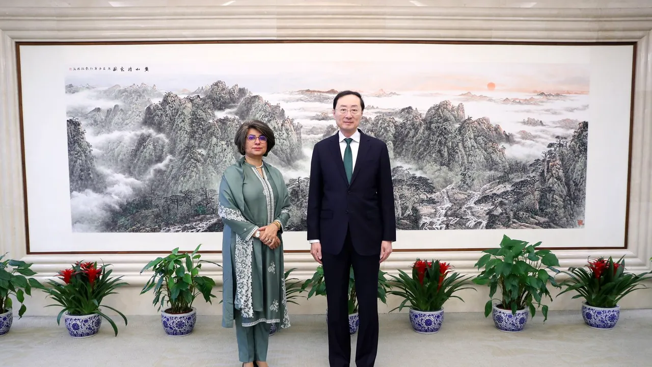 China şi Pakistanul îşi consolidează parteneriatul economic strategic