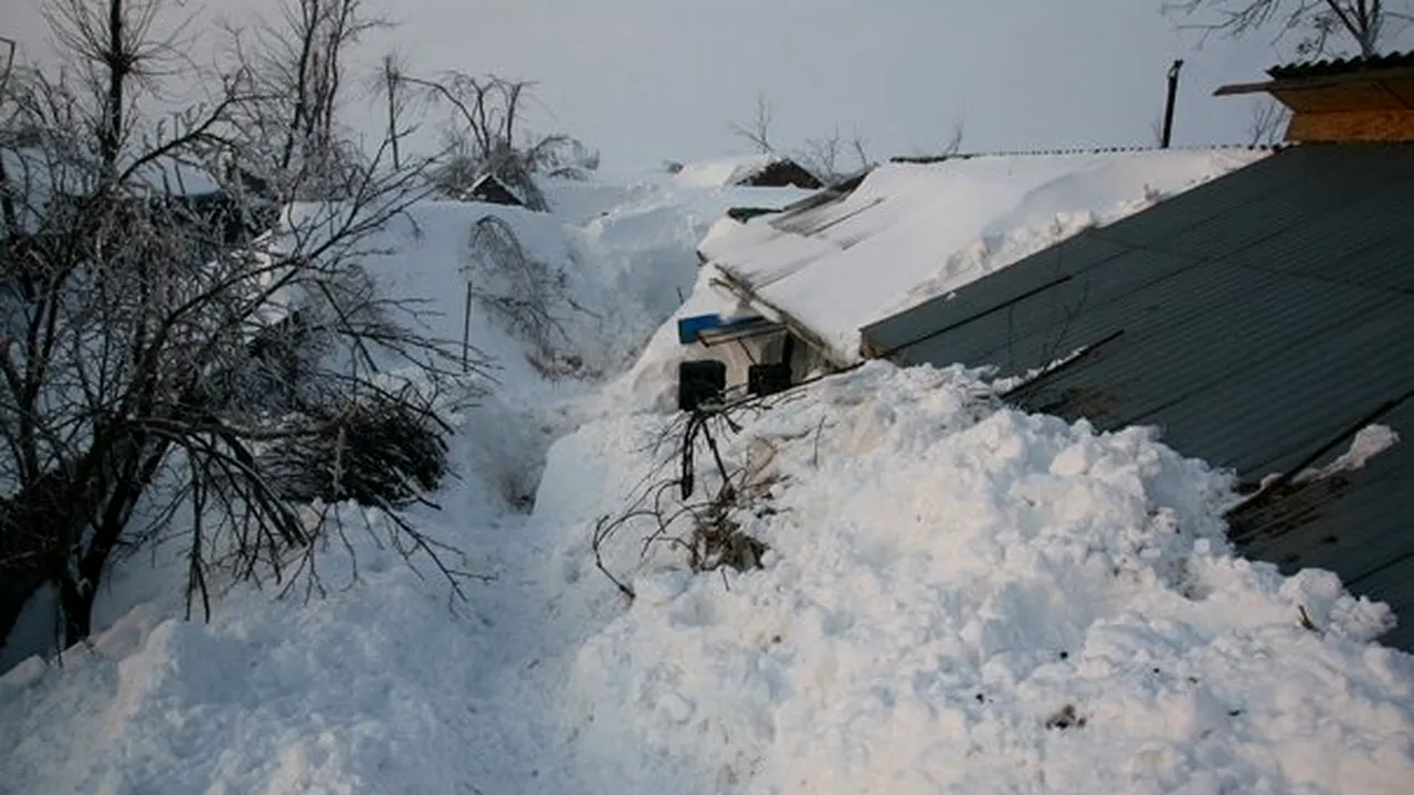 Alte şapte decese prin hipotermie severă în 24 de ore, numărul total ajungând la 86