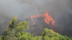 Alertă de nivel 2 în Spania, în urma unui incendiu de vegetație care a ars 330 de hectare. Mai mulți oameni sunt evacuați