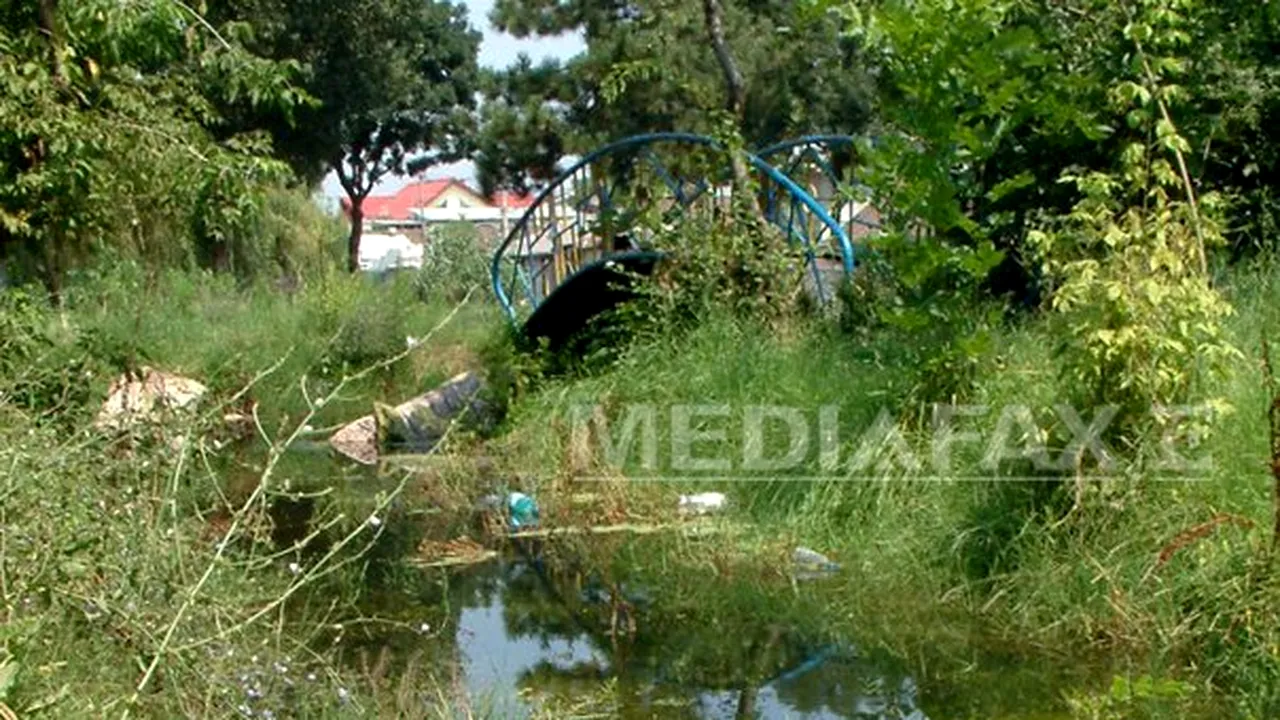 Peste 700 de deţinuţi vor fi peste două zile voluntari eco