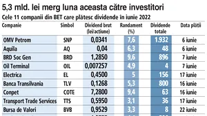Unii râd când mulţi plâng: băncile şi energia plătesc 1,1 miliarde de euro în iunie sub formă de dividende din profiturile excepţionale pe 2021