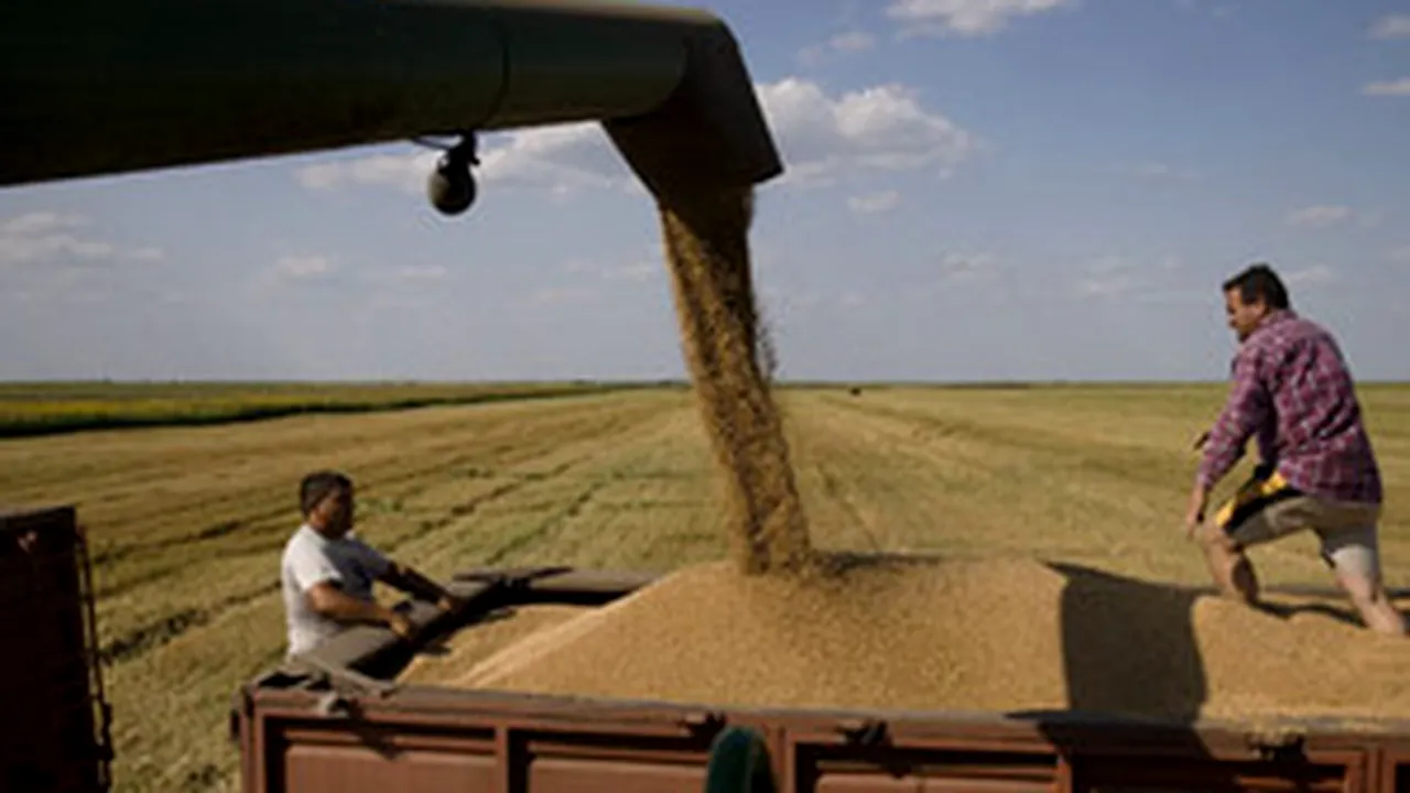 Romanian Government To Guarantee Storage Certificates Granted To Farmers
