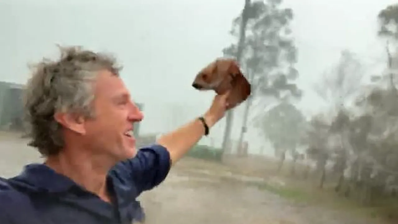 Reacţia nepreţuită a unui fermier din Australia, în timp ce ploua torenţial: „Iubitele mele vaci” - FOTO şi VIDEO