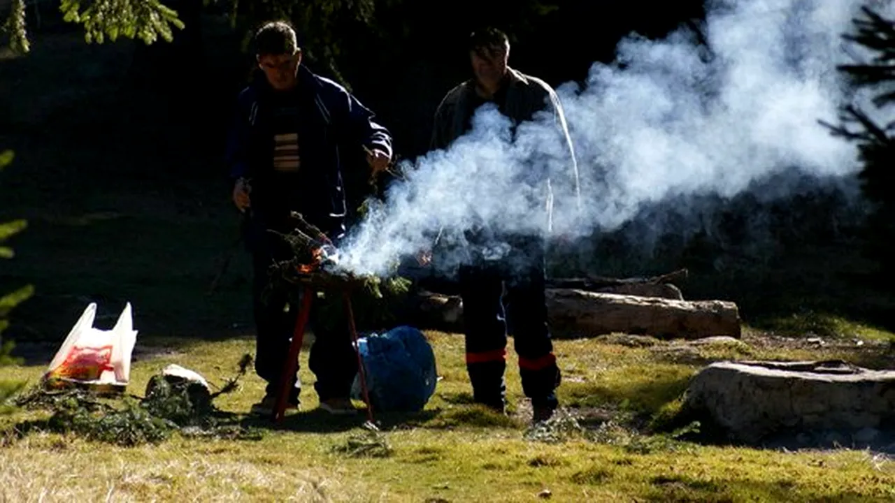 Romania To Give Public Sector Day Off On April 30, 2012