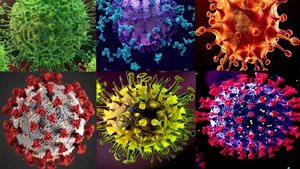 Un nou virus mutant ar putea evolua în curând pentru a infecta şi ucide milioane de oameni 