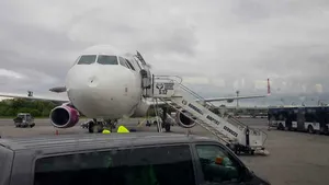 Un avion Wizz Air s-a întors de urgenţă pe aeroportul Henri Coandă după impactul cu o PASĂRE