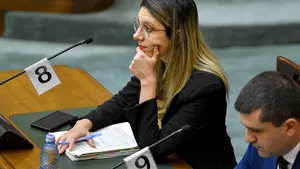 Diana Buzoianu după adoptarea moțiunii simple: Nu voi minți Comisia Europeană că am reformat Romsilva