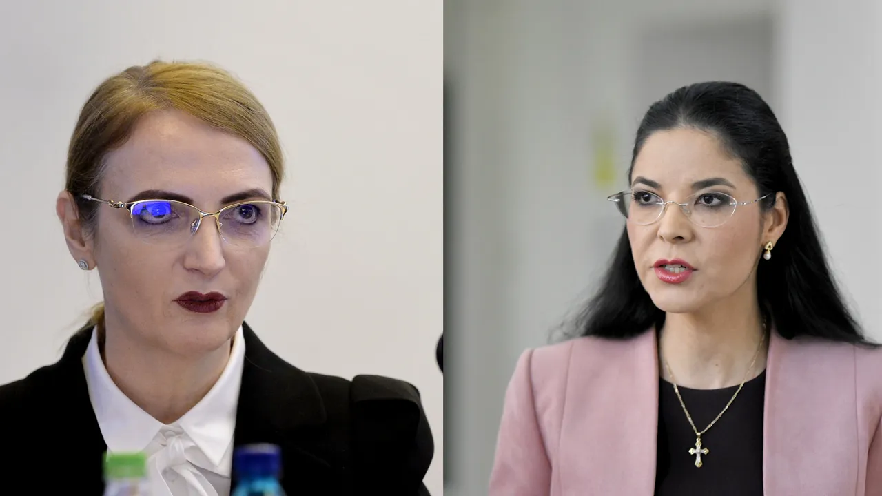 Scandalul dintre ministrul Justiţiei şi şefa CSM continuă: Ana Birchall îi cere explicaţii Liei Savonea legat de „urgenţa” convocării plenului CSM - DOCUMENT