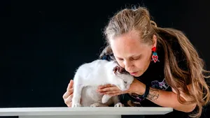 Pisicile domină coșurile Pet Shop pe Sezamo: 80% dintre clienții care cumpără din categorie aleg produse pentru feline