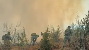 O aeronavă C-27 J Spartan a Forţelor Aeriene Române, trimisă să stingă incendiile din Caraş-Severin