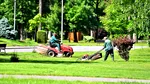 Vrei să scapi de mușchiul care invadează gazonul în octombrie? Trucul cu bicarbonat de sodiu are un efect neașteptat, dar există o problemă