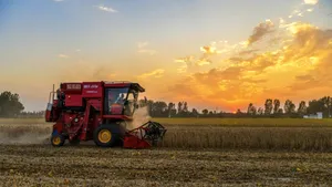 Guvernul aprobă sprijin de aproape 1,5 miliarde de lei pentru fermieri