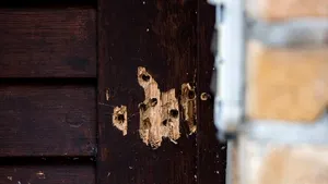 Atacatorul de la Halle recunoaşte motivaţia antisemită a crimelor comise miercuri