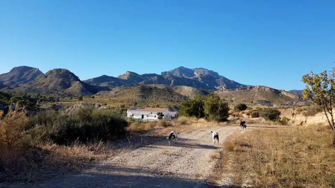 Casă cu piscină lângă Alicante, oferită gratis: ce trebuie să faci ca să locuiești aici