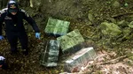 Maramureș: Mii de pachete de țigări ascunse în pădure și în mobilier